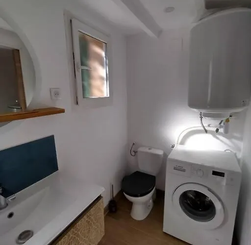 Apartman Loft Avec Jardin En Et Parking *
